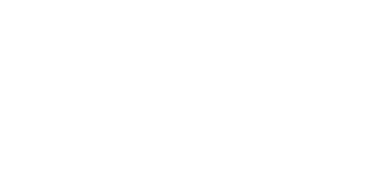 Homeleven